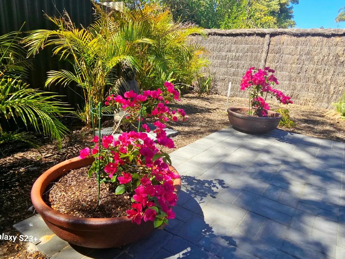 Tranquil Gumnut Cottage - Close To Airport Perth
